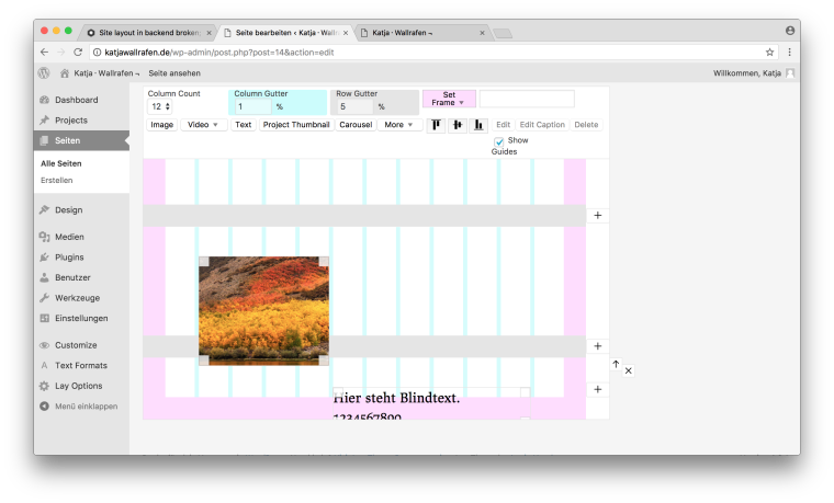 0_1515326507446_Bildschirmfoto 2018-01-07 um 12.54.20.png