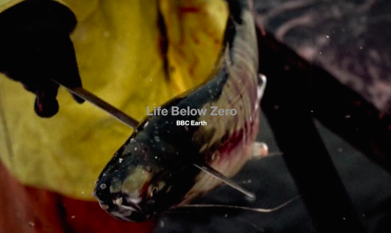 0_1564932883321_Screen Shot 2019-08-04 at 17.34.18.png