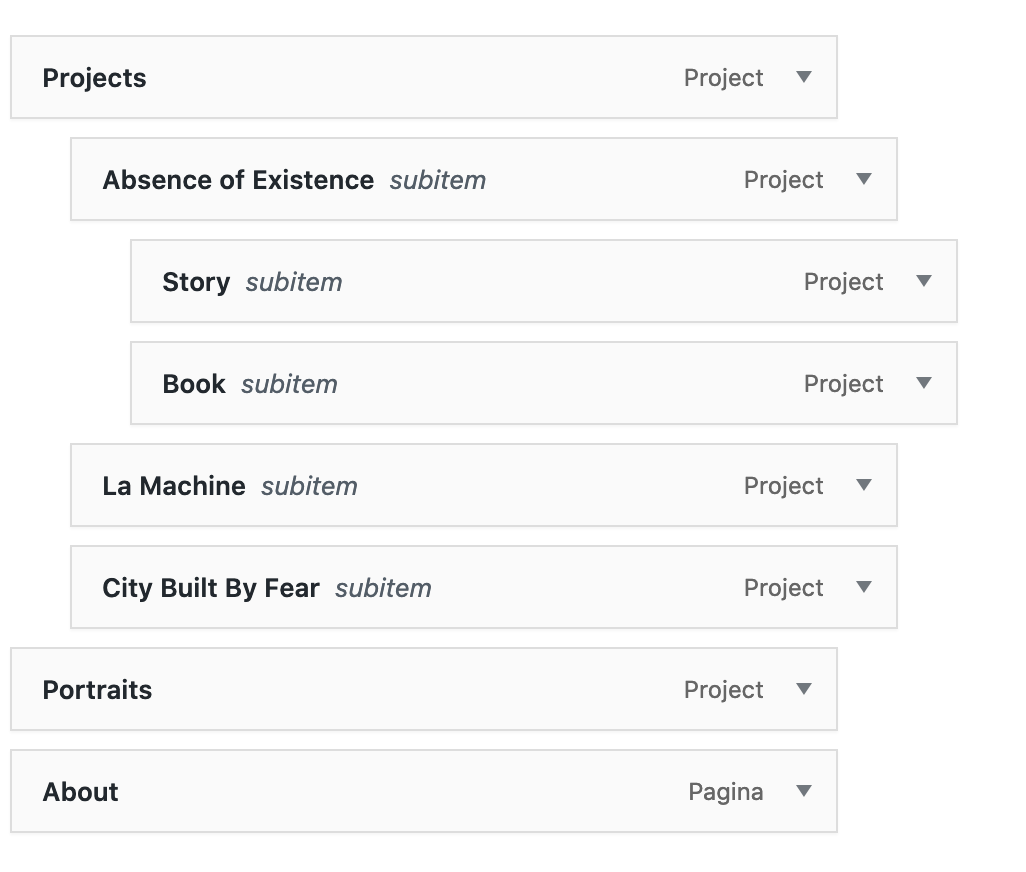 Schermafbeelding 2020-03-11 om 12.36.42.png