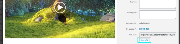 Screen Shot 2020-09-07 at 4.50.43 PM.png