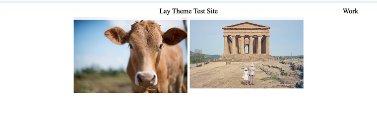 Screen Shot 2020-09-15 at 3.07.23 PM.png