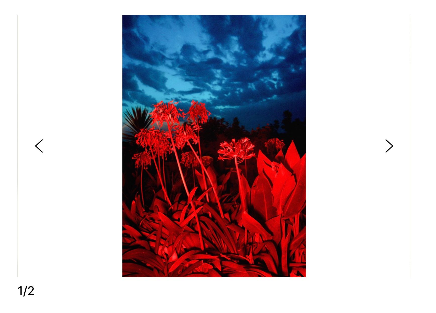 Bildschirmfoto 2020-12-05 um 14.43.22.jpg