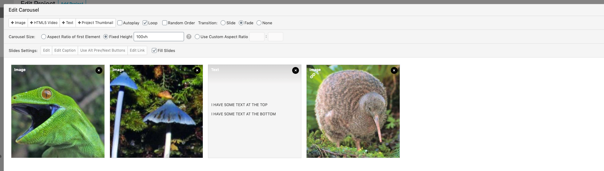 Screen Shot 2020-12-08 at 6.01.06 PM.png
