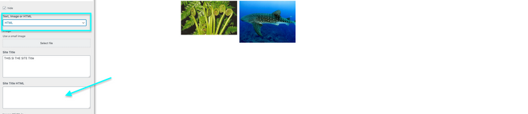 Screen Shot 2020-12-19 at 2.27.33 PM.png