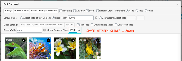 Screen Shot 2020-12-28 at 12.43.27 PM.png