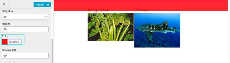 Screen Shot 2020-12-30 at 9.30.35 AM.png