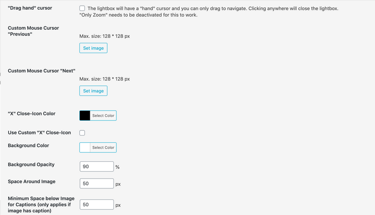 Screen Shot 2021-01-05 at 12.24.31 PM.png