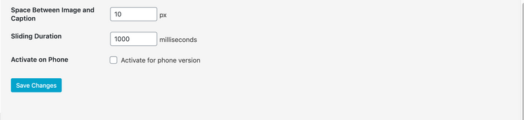 Screen Shot 2021-01-05 at 12.24.46 PM.png