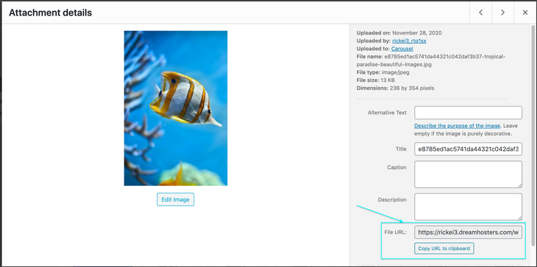 Screen Shot 2021-01-14 at 11.32.35 AM.png