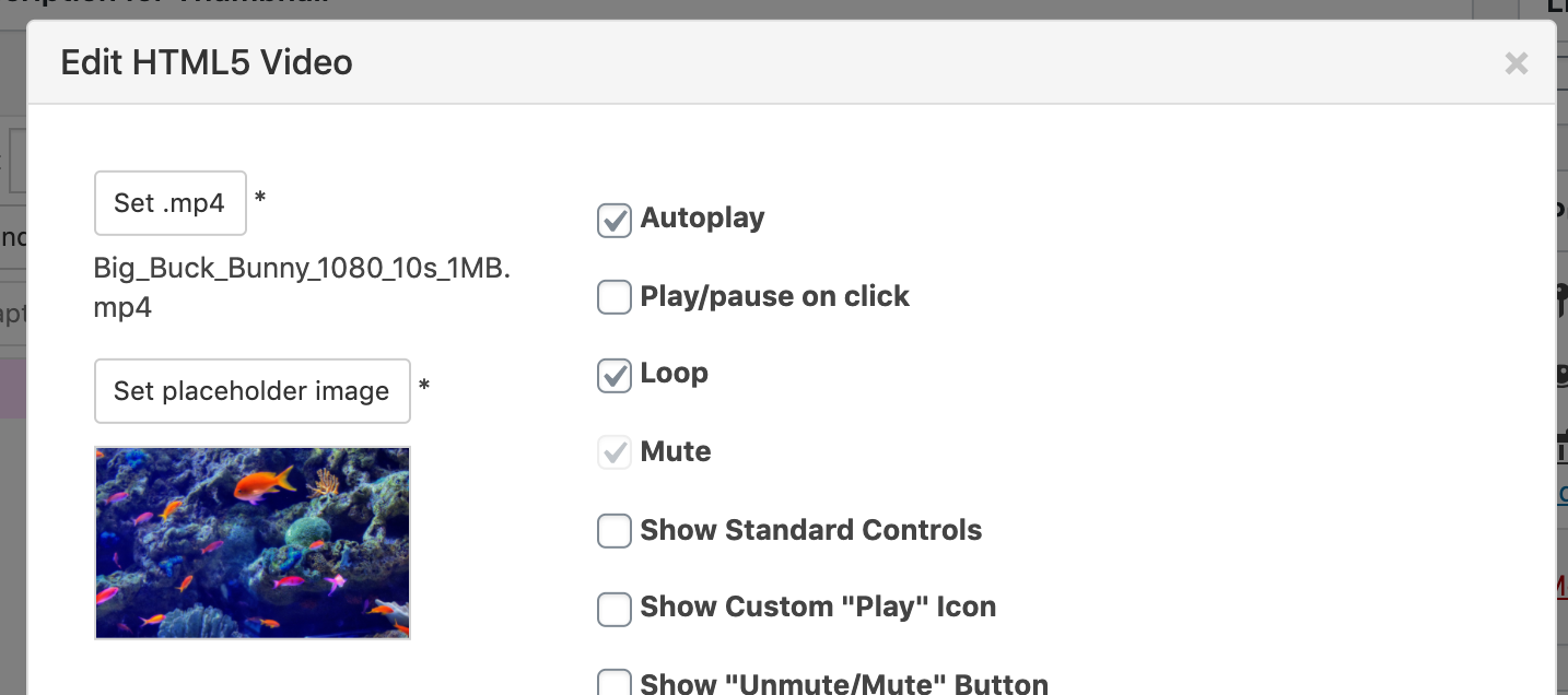 Screen Shot 2021-01-20 at 9.51.02 PM.png