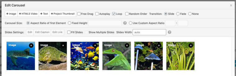 Screen Shot 2021-01-23 at 4.46.47 PM.png