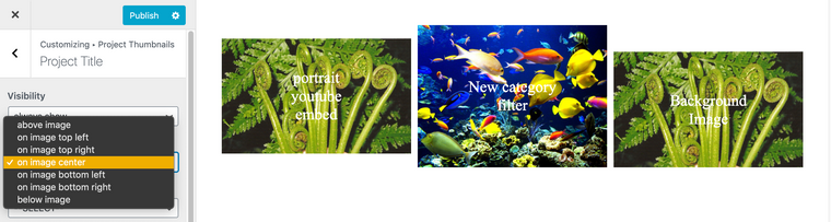 Screen Shot 2021-01-25 at 5.44.44 PM.png