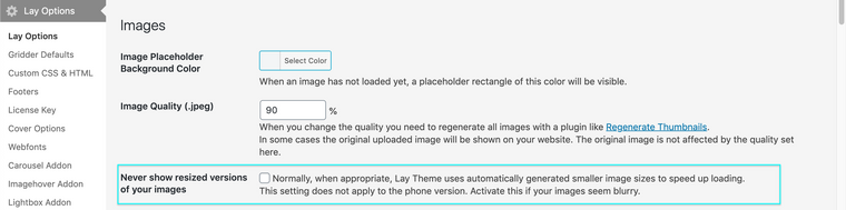 Screen Shot 2021-01-29 at 6.09.12 PM.png