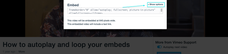 Screen Shot 2021-02-27 at 10.52.50 AM.png