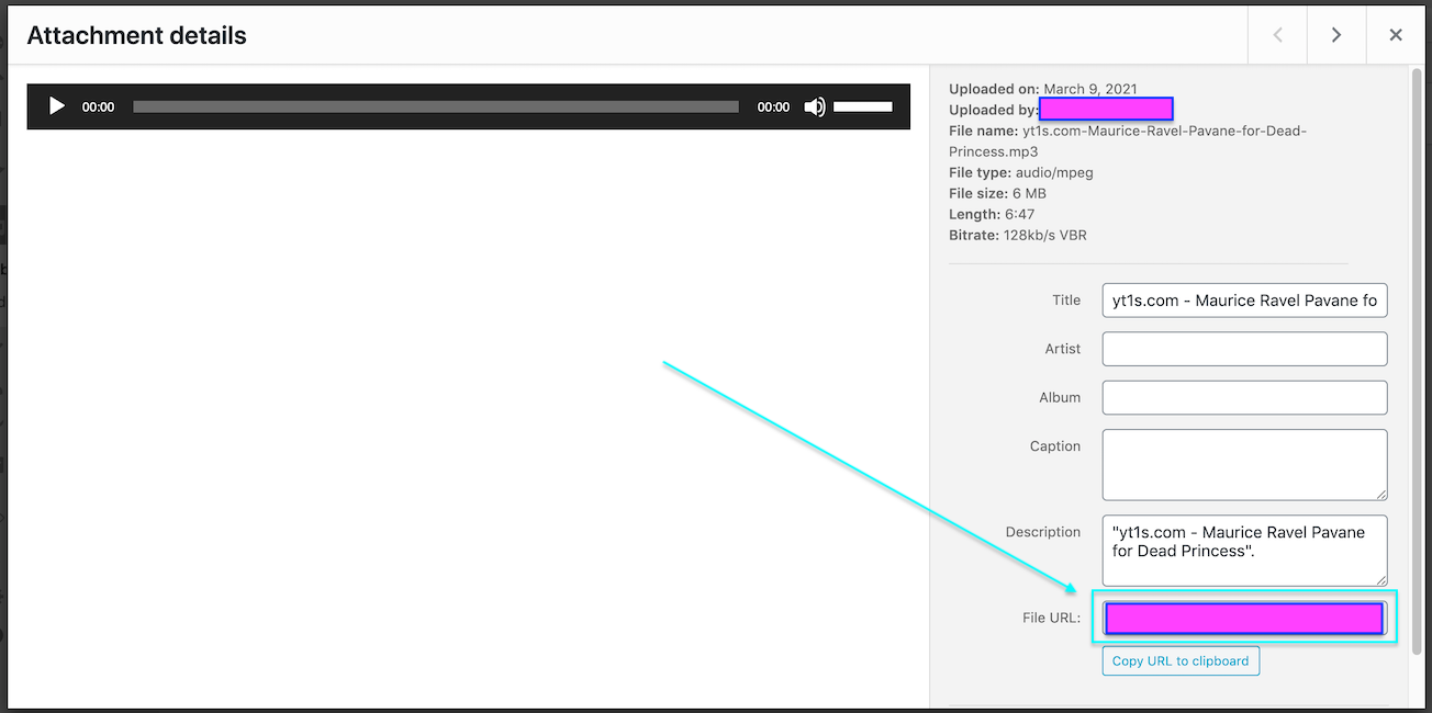 Screen Shot 2021-03-09 at 8.30.19 PM.png
