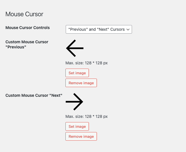 Screen Shot 2021-03-28 at 13.06.20.png