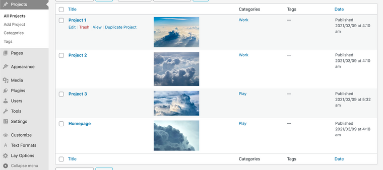 Screen Shot 2021-03-31 at 7.35.22 PM.png