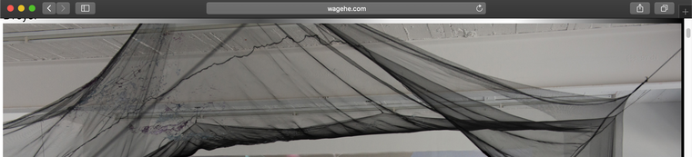 Screen Shot 2021-04-16 at 12.52.57 PM.png