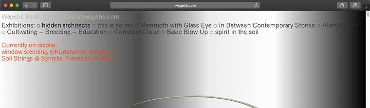 Screen Shot 2021-04-16 at 12.53.02 PM.png