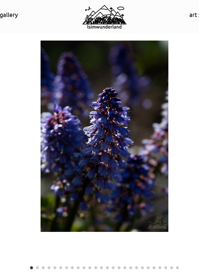 fullscreen slider 70%.png