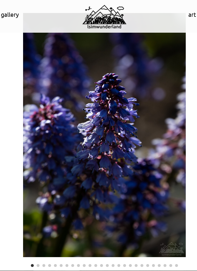 fullscreen slider 90% no offset.png