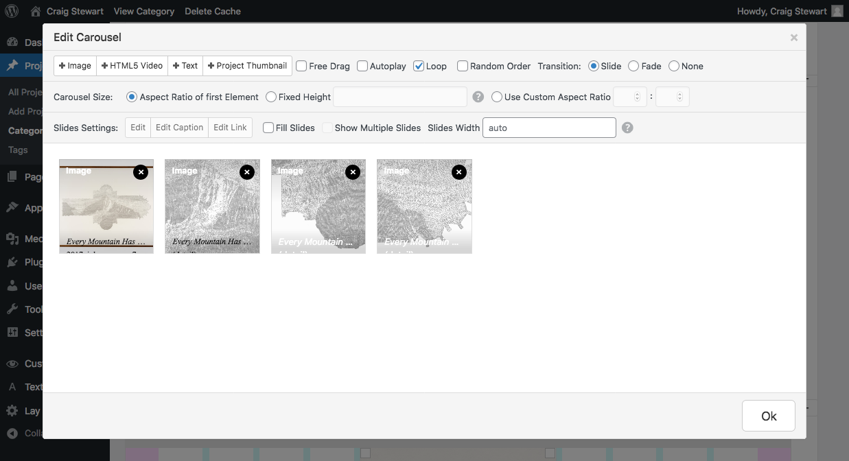 Screenshot_2021-05-03 Edit Category ‹ Craig Stewart — WordPress.png