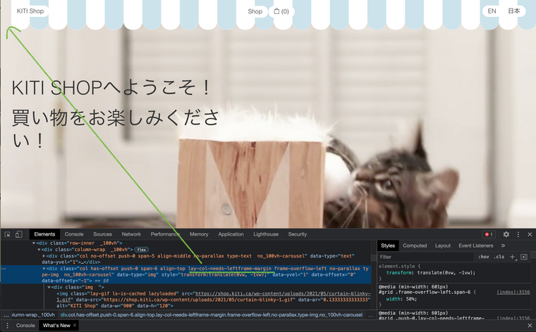 Screen Shot 2021-05-13 at 1.21.15 PM.png