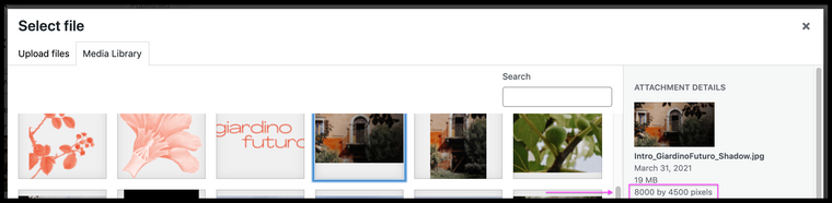 Screen Shot 2021-05-20 at 2.53.07 PM.png