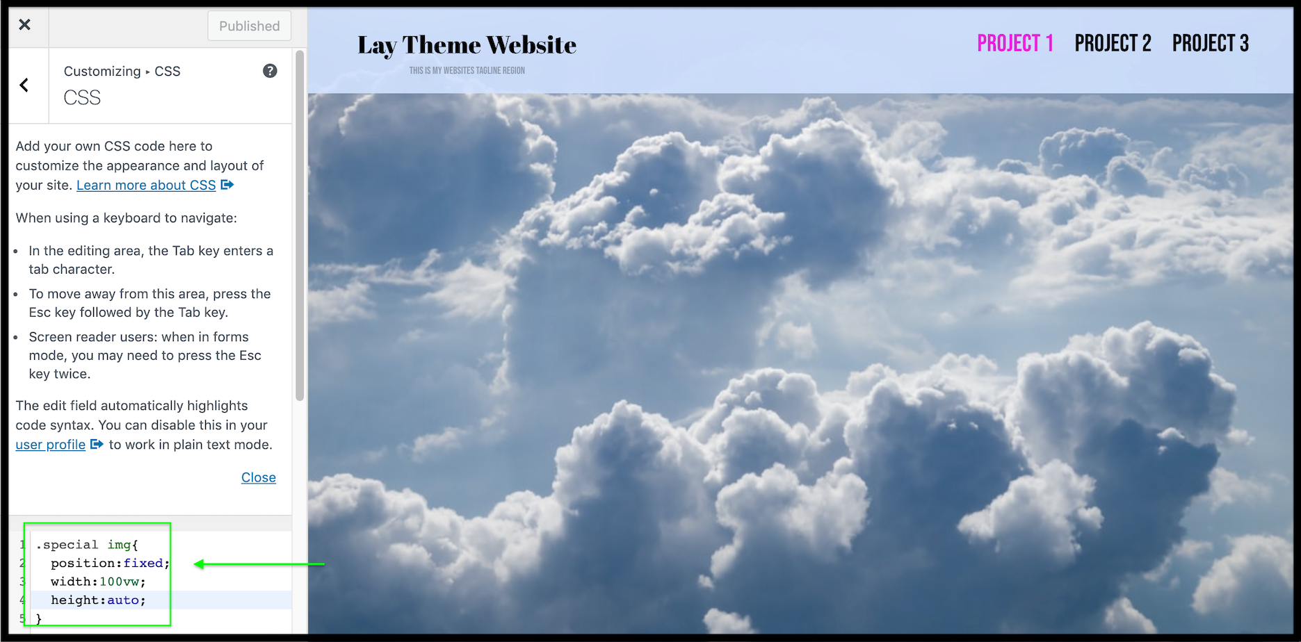 Screen Shot 2021-05-20 at 4.30.41 PM.png