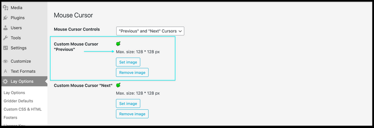 Screen Shot 2021-05-21 at 10.48.47 AM.png
