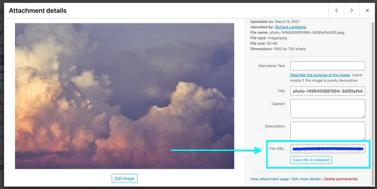 Screen Shot 2021-06-27 at 2.37.32 PM.png