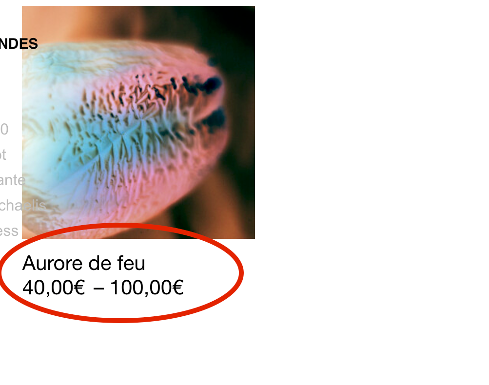 Capture d’écran 2021-10-07 à 10.43.44.png