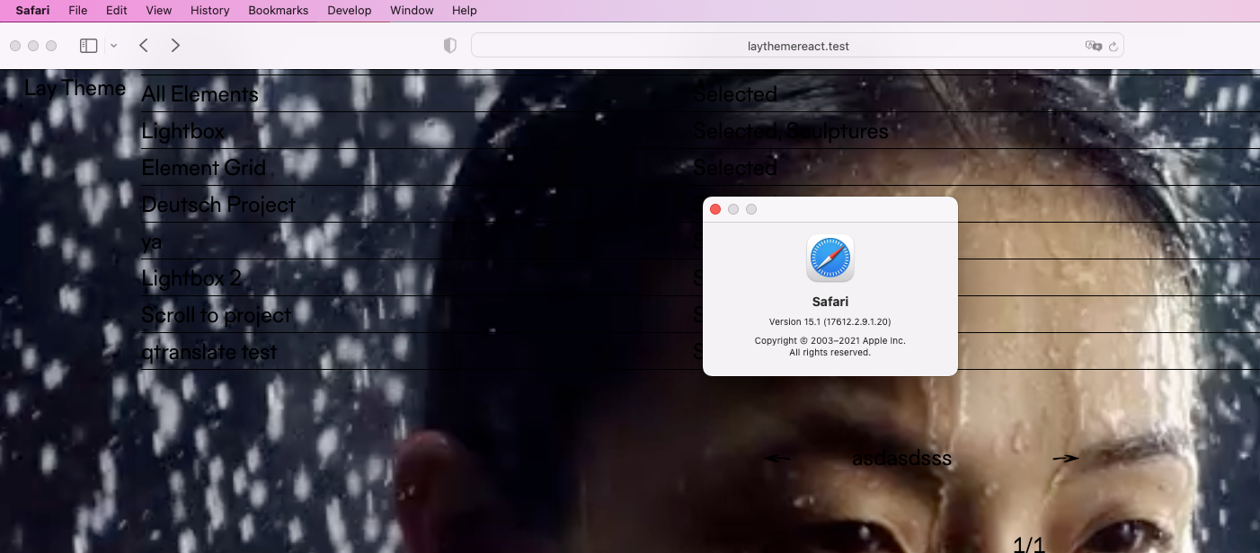 Screenshot 2021-11-30 at 09.21.56.png