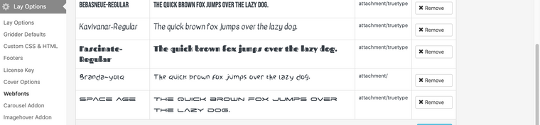 Screen Shot 2022-01-06 at 8.31.11 AM.png