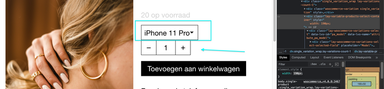 Screen Shot 2022-01-06 at 10.25.28 AM.png