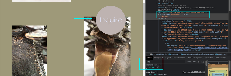 Screen Shot 2022-01-11 at 9.06.16 AM.png