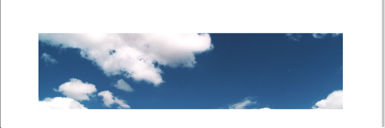 Screen Shot 2022-03-31 at 11.47.21 AM.png