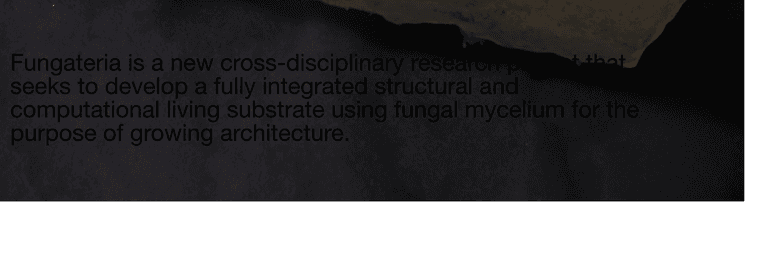 Screenshot 2022-11-28 at 12.53.46.png