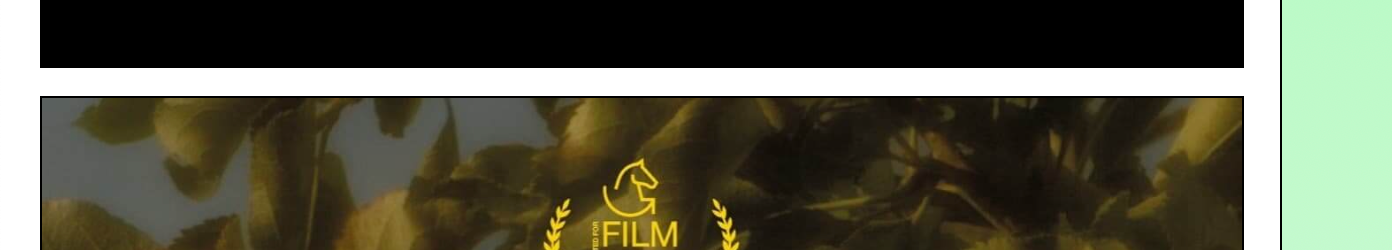 Bildschirm­foto 2023-07-03 um 11.44.10.png