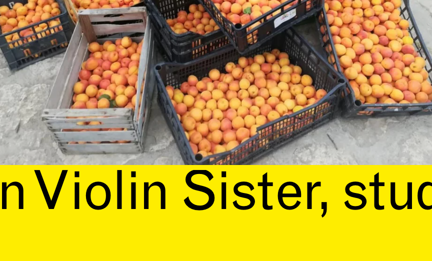 Screenshot 2023-07-29 at 10.40.33.png