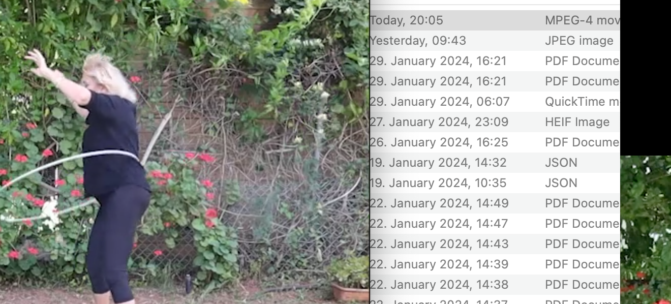 Screenshot 2024-01-31 at 20.06.33.png