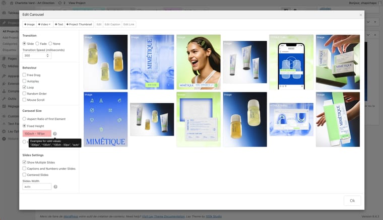 Capture d’écran 2024-02-19 à 16.32.42.jpg