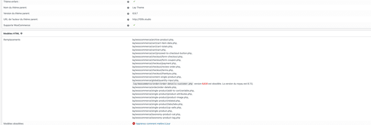 Capture d’écran 2024-03-23 à 19.07.42.png