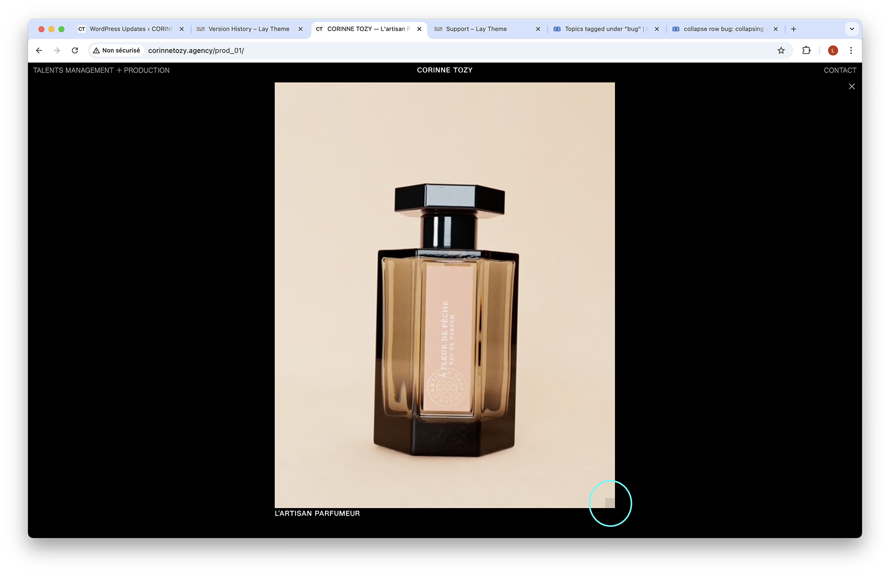 Capture d’écran 2024-12-09 à 11.12.49.png