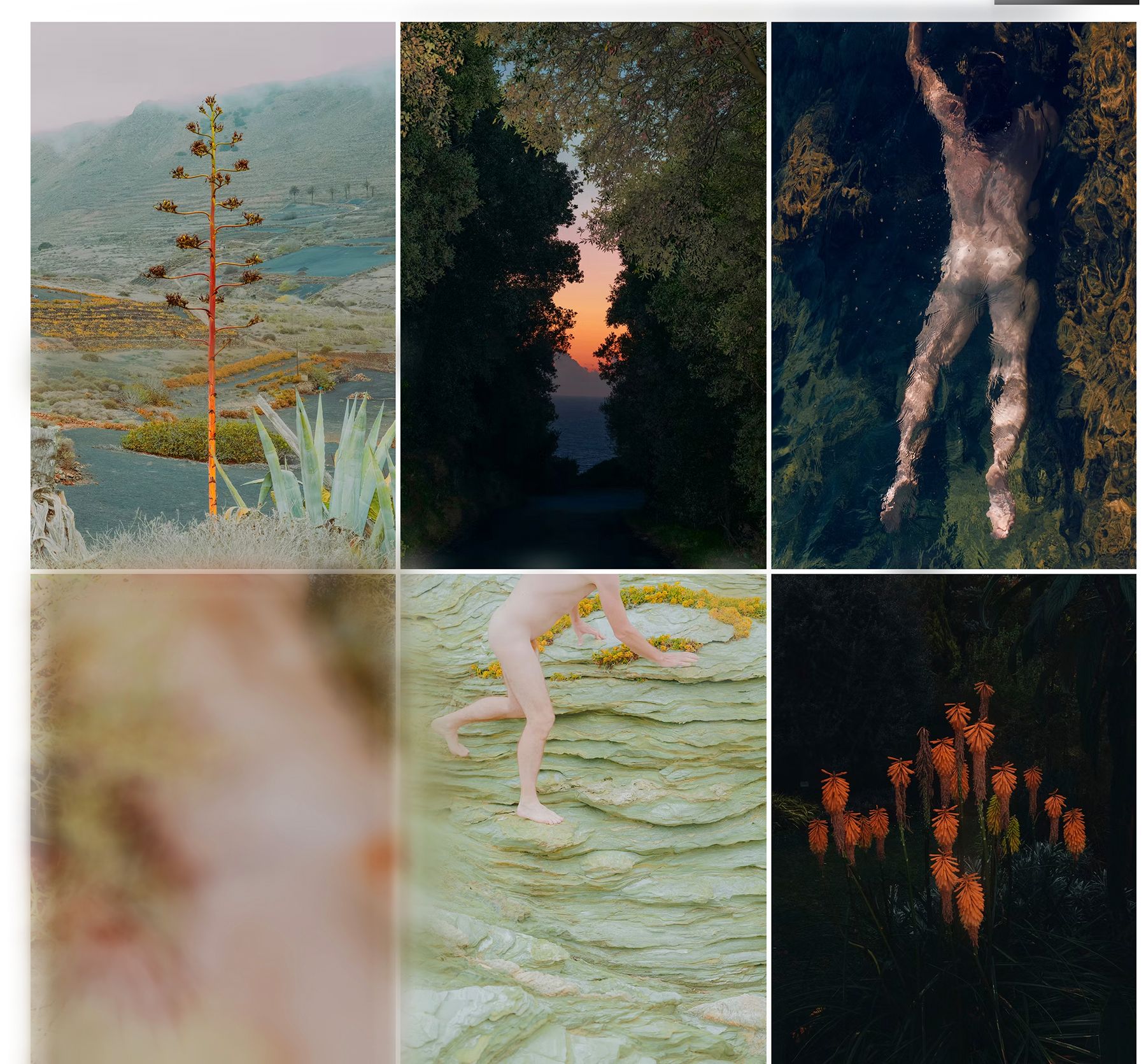 Capture d’écran 2025-02-27 à 15.50.55 copie.jpg