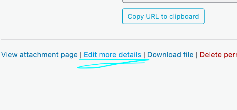 Screenshot 2025-03-11 at 11.02.36.png
