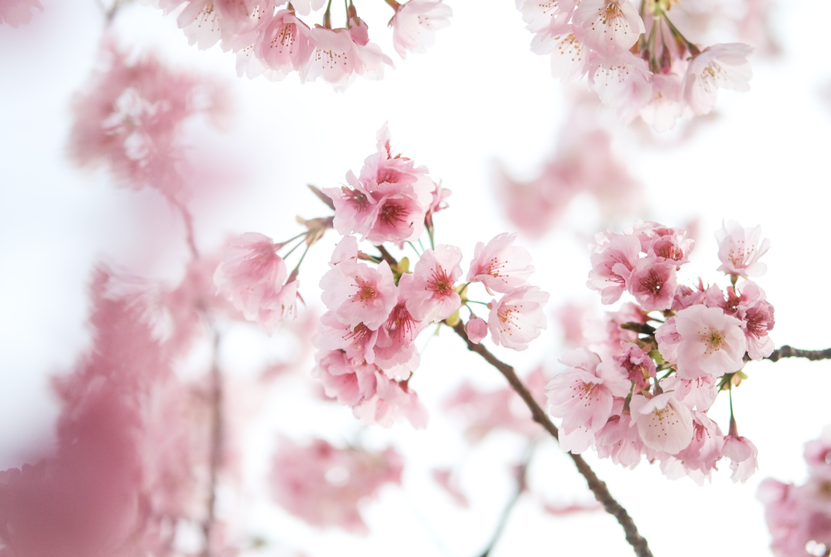 Screenshot 2025-03-15 at 11.22.07 PM.png