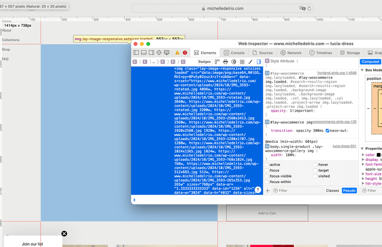 Screenshot 2025-05-25 at 11.30.19 AM.png