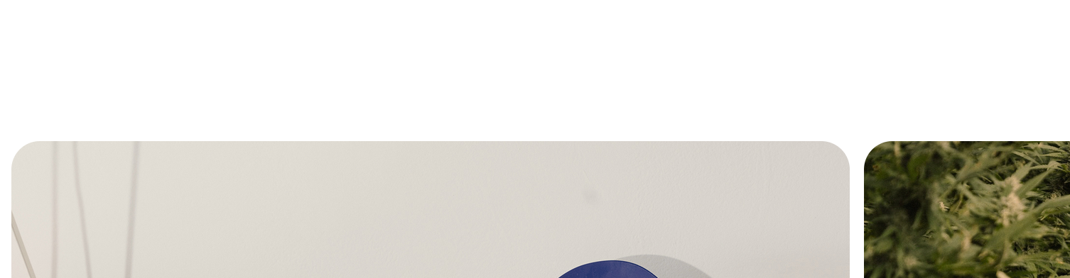 grafik.png
